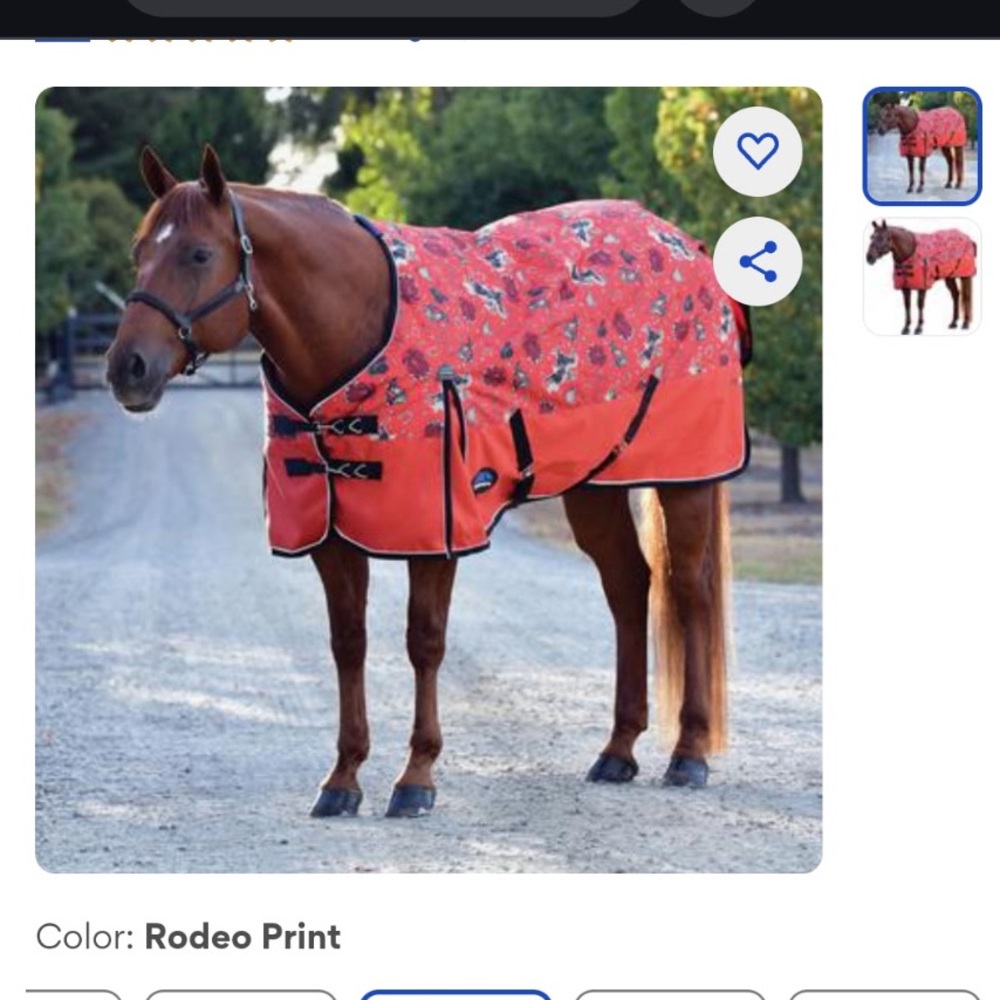 Rodeo Print Horse Blanket